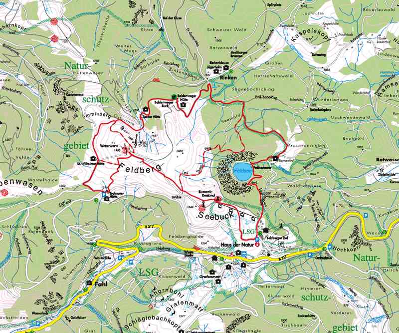 Wandern rund um den Feldberg